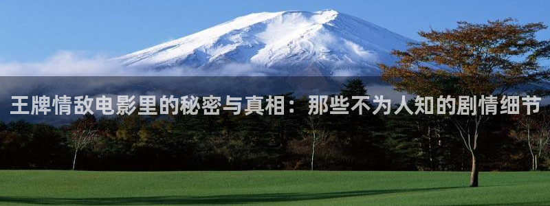 新闻图片