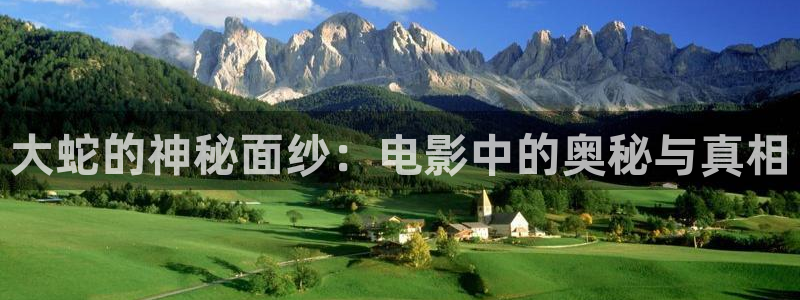 新闻图片