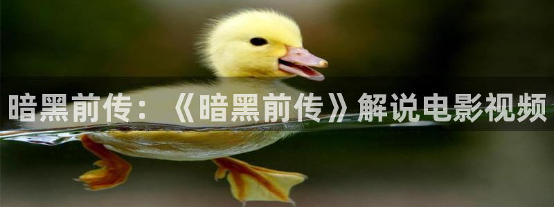 新闻图片